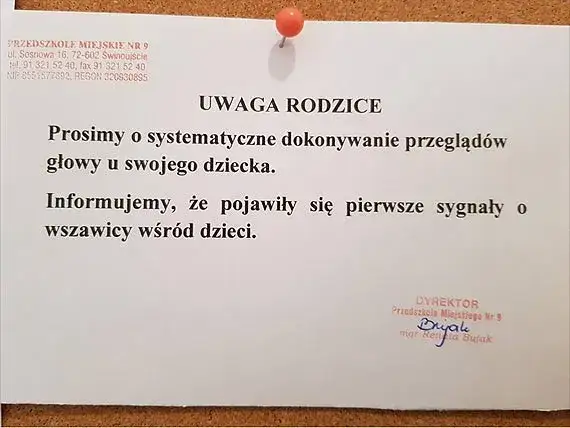 Zdjęcie Czy dziecko z wszami może chodzić do przedszkola? Sprawdź zasady!